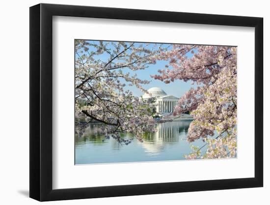 Washington Dc, Thomas Jefferson Memorial during Cherry Blossom Festival in Spring - United States-Orhan-Framed Photographic Print