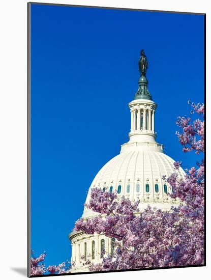 WASHINGTON DC - US Capitol and Cherry Blossoms, Washington D.C.-null-Mounted Photographic Print