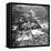 Washington, Dc., USA, Late 19th Century-null-Framed Premier Image Canvas