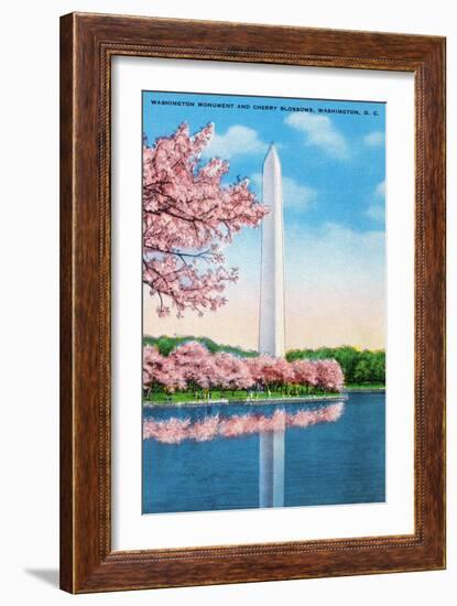 Washington DC, View of the Washington Monument through Blossoming Cherry Trees-Lantern Press-Framed Art Print