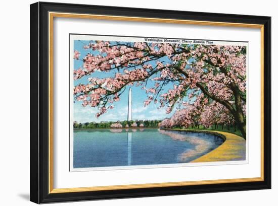 Washington DC, View of the Washington Monument with Blossoming Cherry Trees-Lantern Press-Framed Art Print