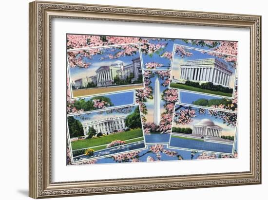 Washington, DC, Views Memorials, Monuments, White House and Blossoming Cherry Trees-Lantern Press-Framed Art Print