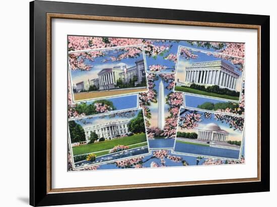 Washington, DC, Views Memorials, Monuments, White House and Blossoming Cherry Trees-Lantern Press-Framed Art Print