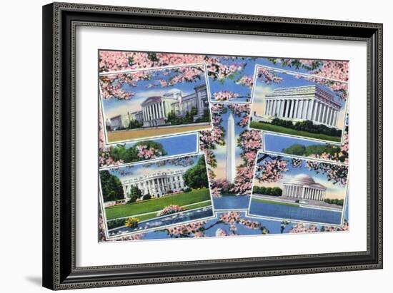 Washington, DC, Views Memorials, Monuments, White House and Blossoming Cherry Trees-Lantern Press-Framed Art Print