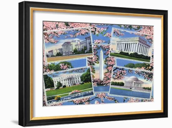 Washington, DC, Views Memorials, Monuments, White House and Blossoming Cherry Trees-Lantern Press-Framed Art Print