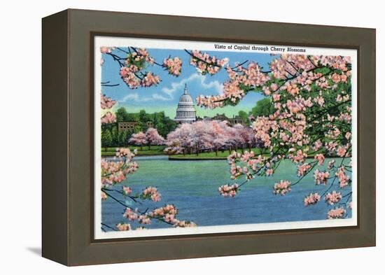 Washington DC, Vista of the Capitol through the Cherry Blossoms-Lantern Press-Framed Stretched Canvas