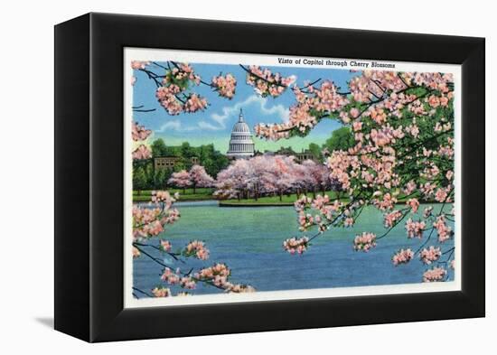 Washington DC, Vista of the Capitol through the Cherry Blossoms-Lantern Press-Framed Stretched Canvas