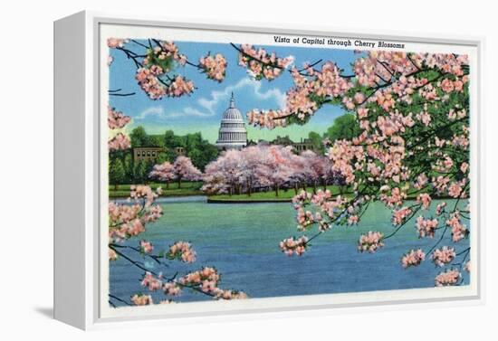 Washington DC, Vista of the Capitol through the Cherry Blossoms-Lantern Press-Framed Stretched Canvas