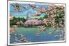 Washington DC, Vista of the Capitol through the Cherry Blossoms-Lantern Press-Mounted Art Print