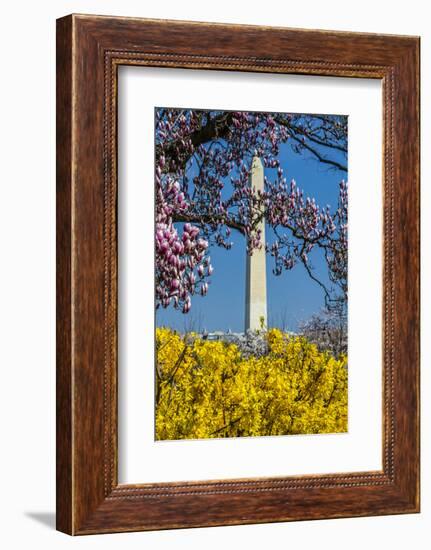 Washington DC. Washington Monument in springtime-Jolly Sienda-Framed Photographic Print