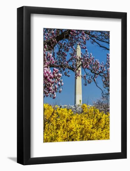 Washington DC. Washington Monument in springtime-Jolly Sienda-Framed Photographic Print