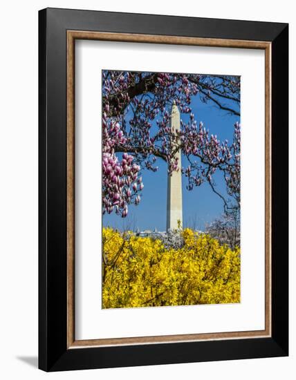 Washington DC. Washington Monument in springtime-Jolly Sienda-Framed Photographic Print