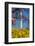 Washington DC. Washington Monument in springtime-Jolly Sienda-Framed Photographic Print