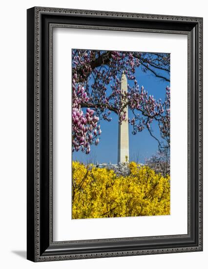 Washington DC. Washington Monument in springtime-Jolly Sienda-Framed Photographic Print