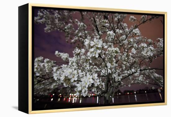 Washington, DC-Karine Aigner-Framed Premier Image Canvas