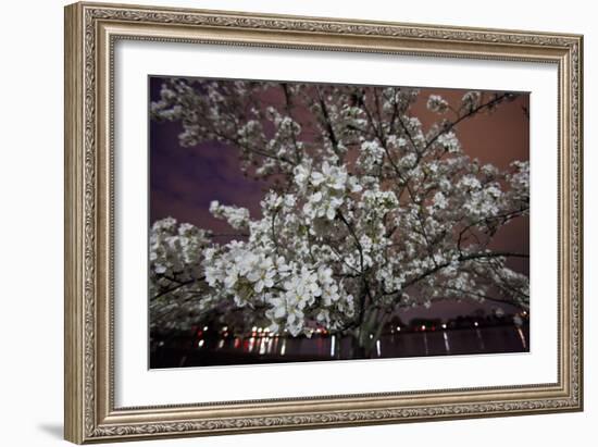 Washington, DC-Karine Aigner-Framed Photographic Print