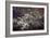 Washington, DC-Karine Aigner-Framed Photographic Print