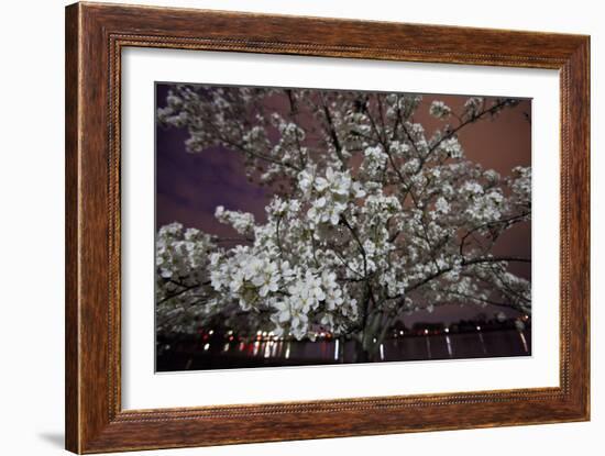 Washington, DC-Karine Aigner-Framed Photographic Print