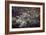 Washington, DC-Karine Aigner-Framed Photographic Print