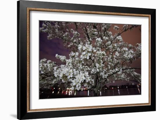 Washington, DC-Karine Aigner-Framed Photographic Print