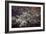 Washington, DC-Karine Aigner-Framed Photographic Print