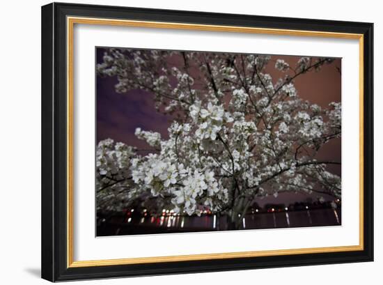 Washington, DC-Karine Aigner-Framed Photographic Print