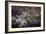 Washington, DC-Karine Aigner-Framed Photographic Print