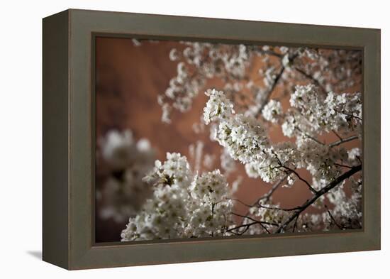 Washington, DC-Karine Aigner-Framed Premier Image Canvas