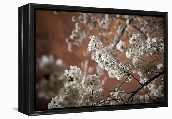 Washington, DC-Karine Aigner-Framed Premier Image Canvas