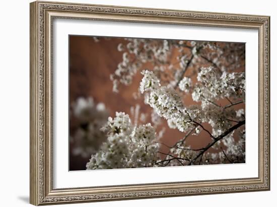 Washington, DC-Karine Aigner-Framed Photographic Print