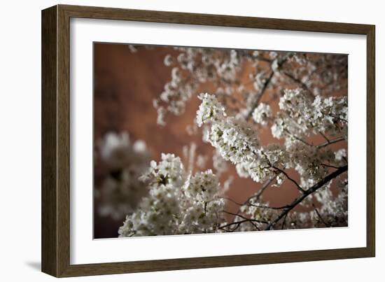 Washington, DC-Karine Aigner-Framed Photographic Print