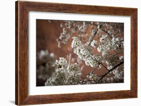 Washington, DC-Karine Aigner-Framed Photographic Print