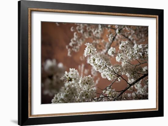 Washington, DC-Karine Aigner-Framed Photographic Print