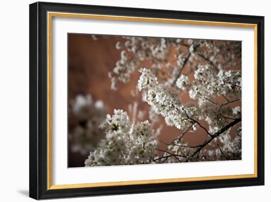 Washington, DC-Karine Aigner-Framed Photographic Print