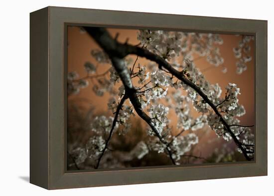 Washington, DC-Karine Aigner-Framed Premier Image Canvas