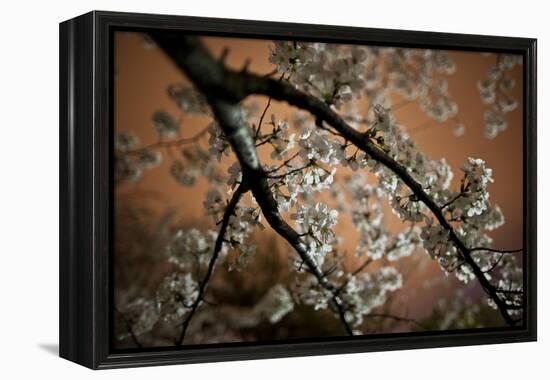 Washington, DC-Karine Aigner-Framed Premier Image Canvas