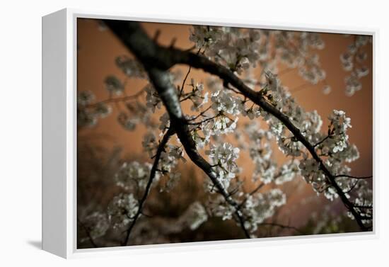 Washington, DC-Karine Aigner-Framed Premier Image Canvas