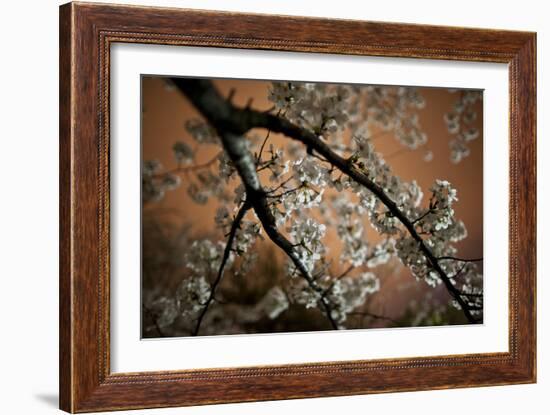 Washington, DC-Karine Aigner-Framed Photographic Print