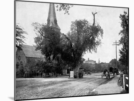 Washington Elm and Memorial Stone, Cambridge, Massachusetts, USA, 1893-John L Stoddard-Mounted Giclee Print