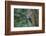 Washington, Female Pileated Woodpecker at Nest in Snag, with Begging Chicks-Gary Luhm-Framed Photographic Print