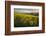 Washington, Field of Arrowleaf Balsamroot and Lupine Wildflowers at Columbia Hills State Park-Gary Luhm-Framed Photographic Print