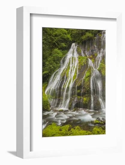 Washington, Gifford Pinchot NF. Spring Scenic of Panther Creek Falls-Don Paulson-Framed Photographic Print