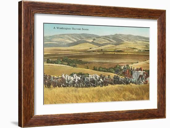 Washington Harvest Scene, Horse-Drawn Thresher-null-Framed Art Print