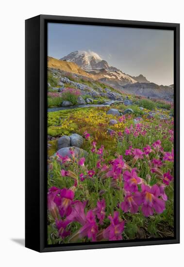 Washington, Lewis's Monkeyflower Along Panorama Trail and Paradise River, Mt. Rainier National Park-Gary Luhm-Framed Premier Image Canvas