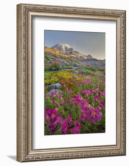 Washington, Lewis's Monkeyflower Along Panorama Trail and Paradise River, Mt. Rainier National Park-Gary Luhm-Framed Photographic Print