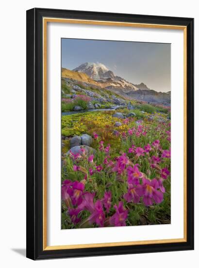 Washington, Lewis's Monkeyflower Along Panorama Trail and Paradise River, Mt. Rainier National Park-Gary Luhm-Framed Photographic Print