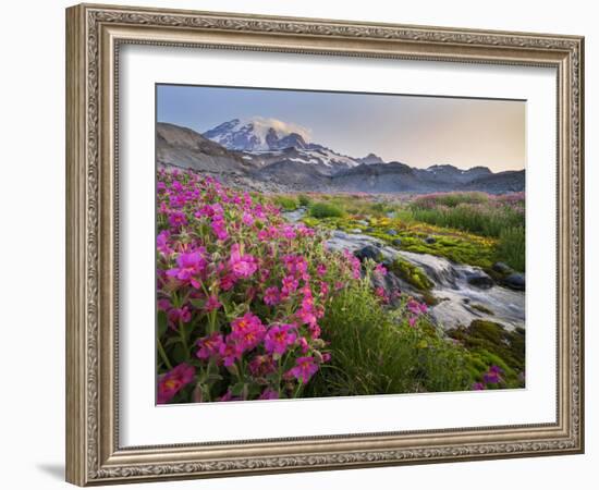 Washington, Lewis's Monkeyflower Along Panorama Trail and Paradise River, Mt. Rainier National Park-Gary Luhm-Framed Photographic Print