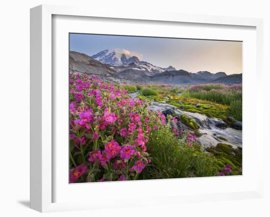 Washington, Lewis's Monkeyflower Along Panorama Trail and Paradise River, Mt. Rainier National Park-Gary Luhm-Framed Photographic Print