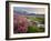 Washington, Lewis's Monkeyflower Along Panorama Trail and Paradise River, Mt. Rainier National Park-Gary Luhm-Framed Photographic Print