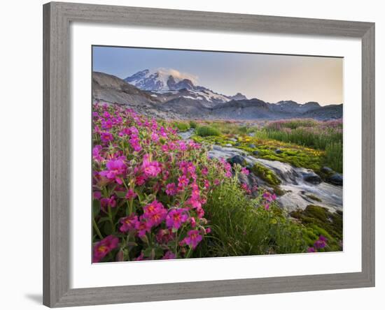 Washington, Lewis's Monkeyflower Along Panorama Trail and Paradise River, Mt. Rainier National Park-Gary Luhm-Framed Photographic Print